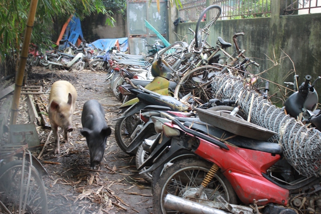 Xót xa bãi xe tiền tỉ biến thành phế liệu ảnh 5